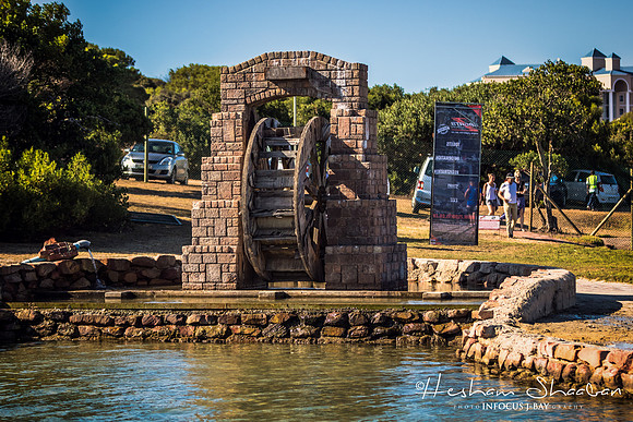 Jeffreys Bay The SA Open water swim Champs at Marina Martinique00009